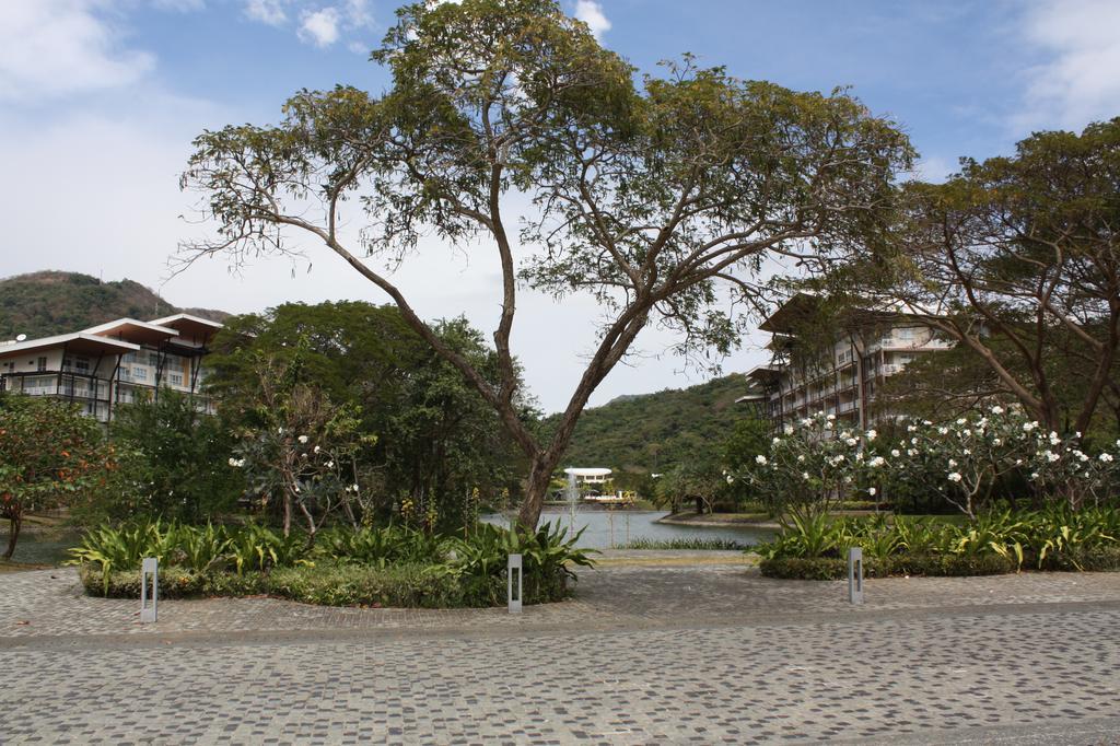 شقة Unit 507 Pico De Loro ناسوجبو المظهر الخارجي الصورة